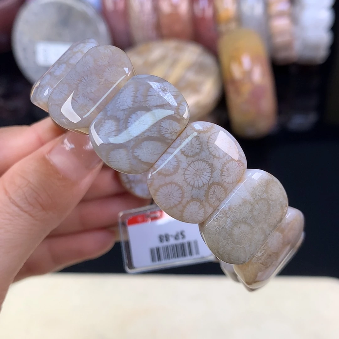 【闪购商品】颈饰未镶嵌硅化珊瑚（珊瑚玉）福利手牌1号