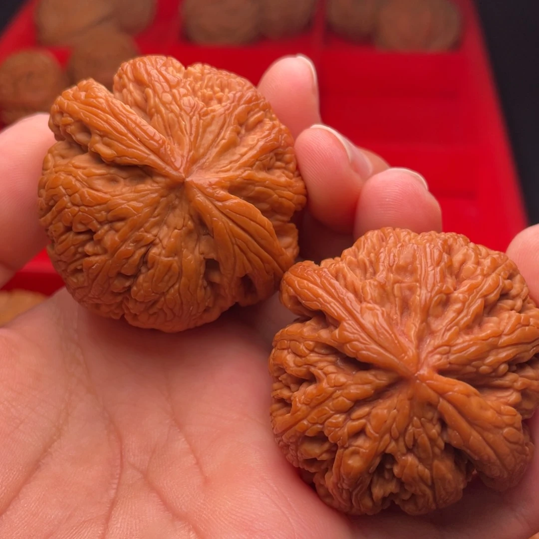 文玩核桃把件秦岭山脉