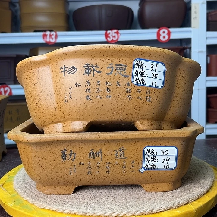 紫砂花盆蛇年大吉