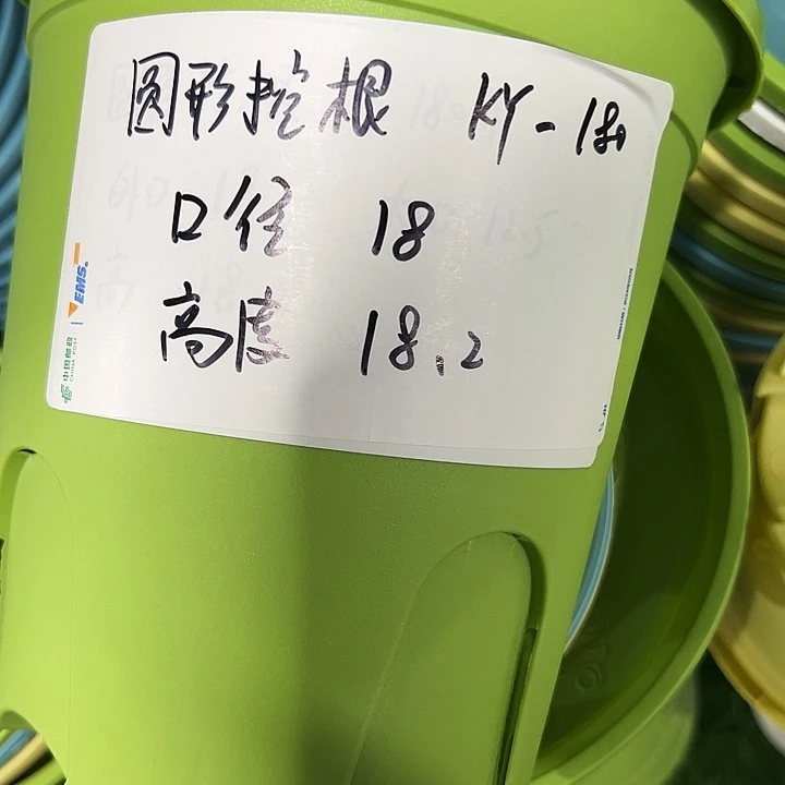 正品圆控口18高18果绿色无托8只
