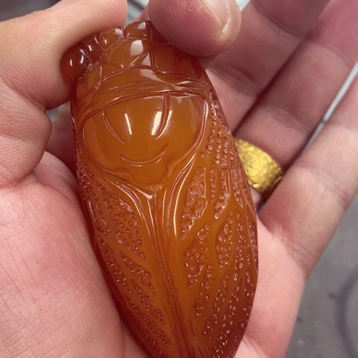 大果紫檀（缅甸花梨）431