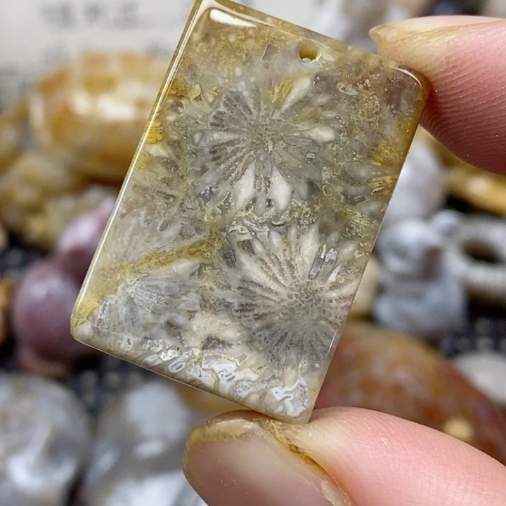 颈饰未镶嵌硅化珊瑚（珊瑚玉）小