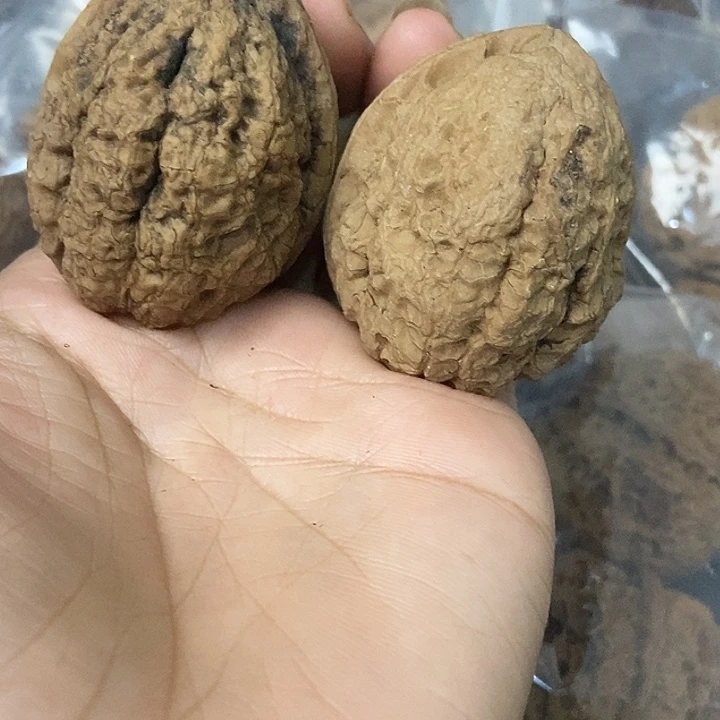 文玩核桃把件云南铁核桃基地41