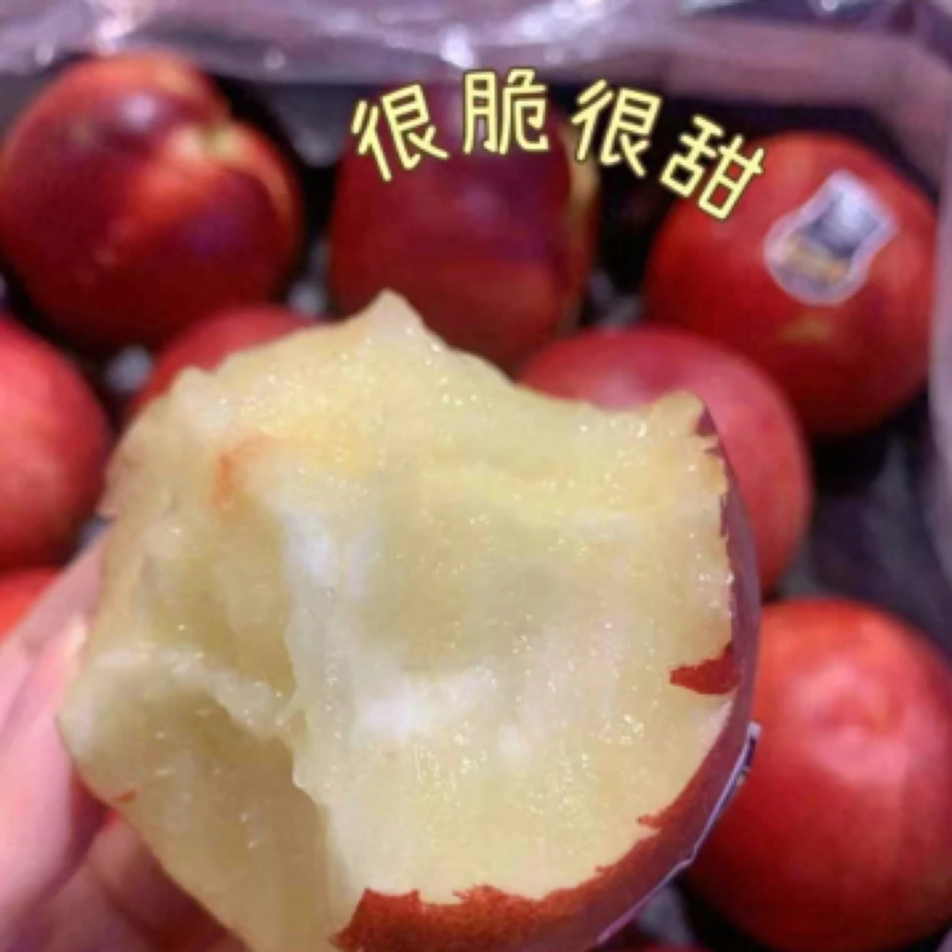 进口澳洲脆甜口大油桃