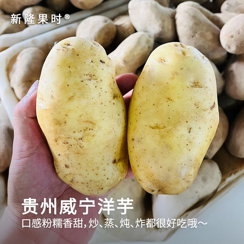 【新隆果时】贵州威宁高山洋芋5斤装