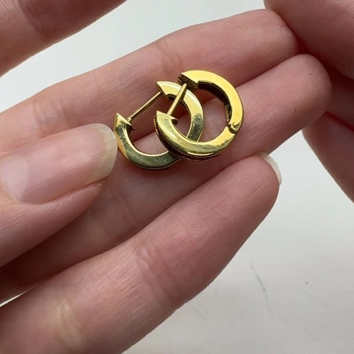 未镶嵌耳饰红宝石