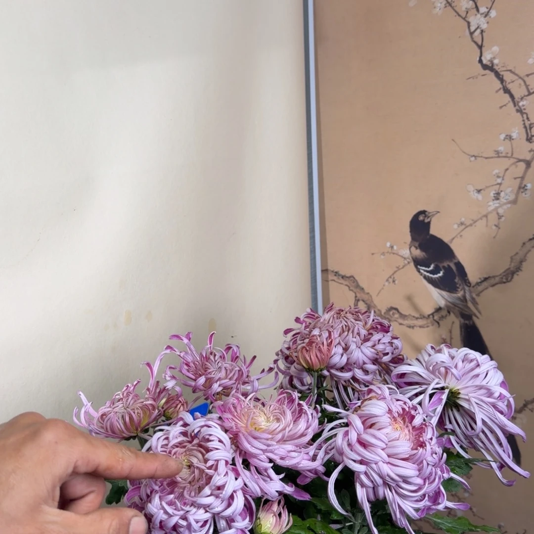 完全开放K4444444444