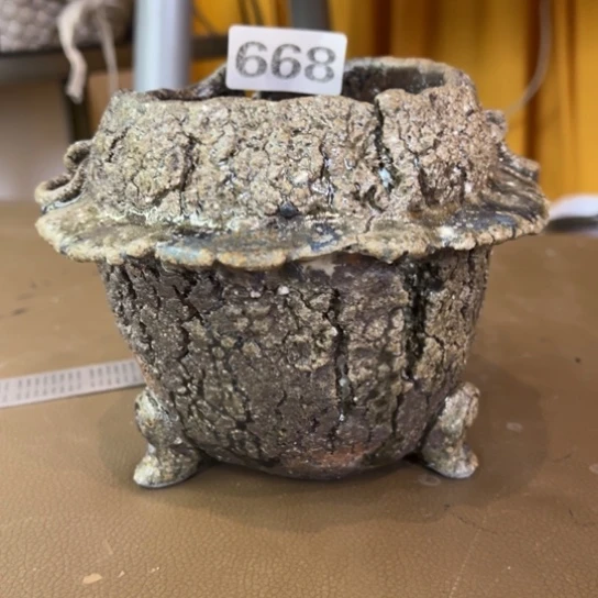 红陶叶***?668////////