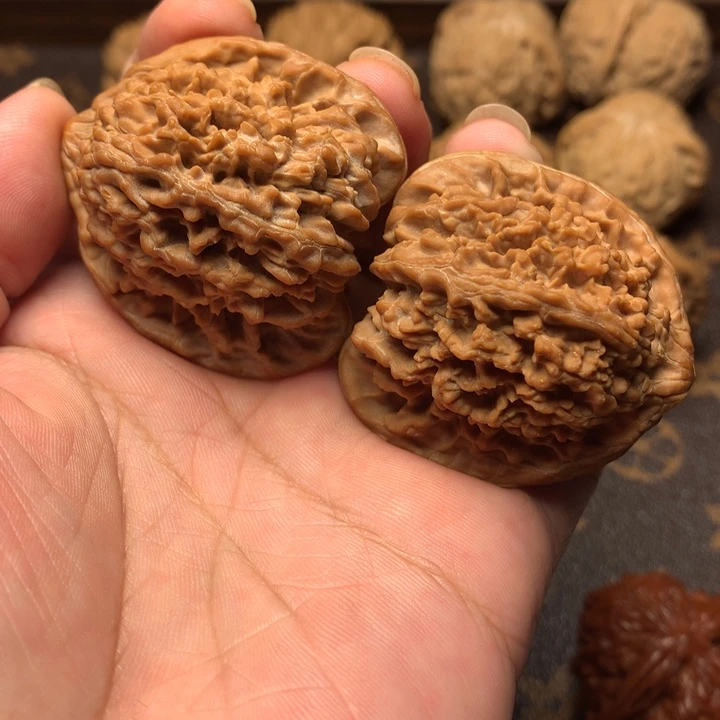 文玩核桃满天星狮子头