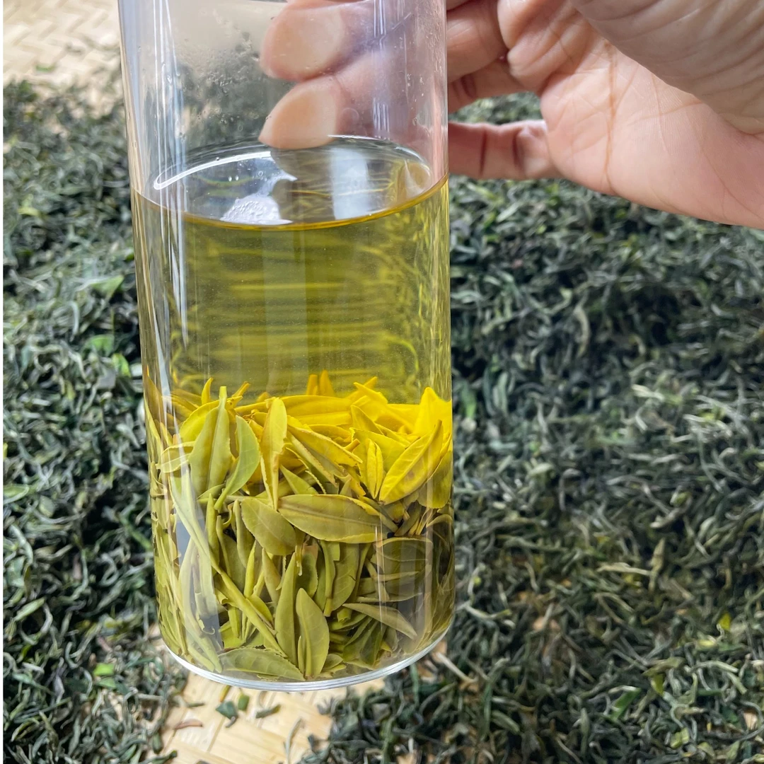 【2025雨前娄头】信阳毛尖雨前娄头