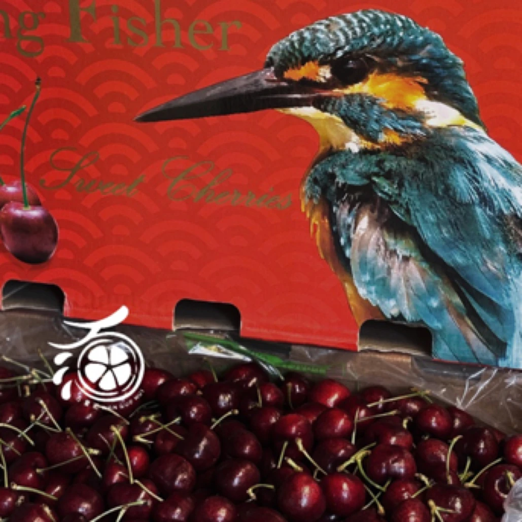 翠鸟4JD车厘子拉宾斯海运智利原版原箱净果重10斤