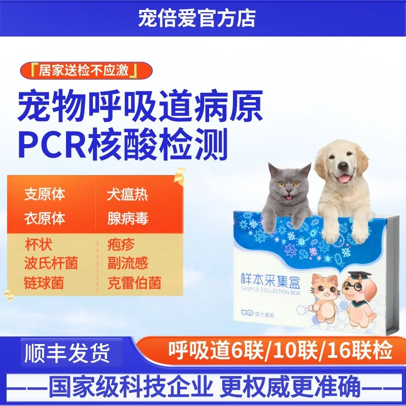 猫狗呼吸道十联pcr检测支原体疱疹杯状猫鼻支猫咳嗽喷嚏【送检】