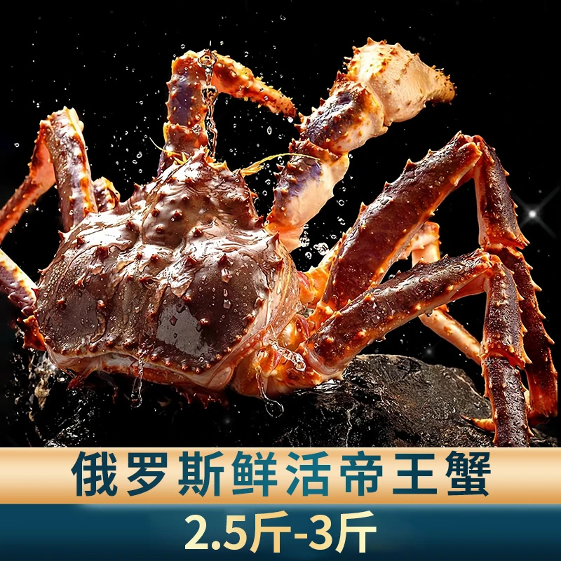 【鲜活帝王蟹】2.5-3斤新鲜海鲜来自巴伦支海帝王蟹