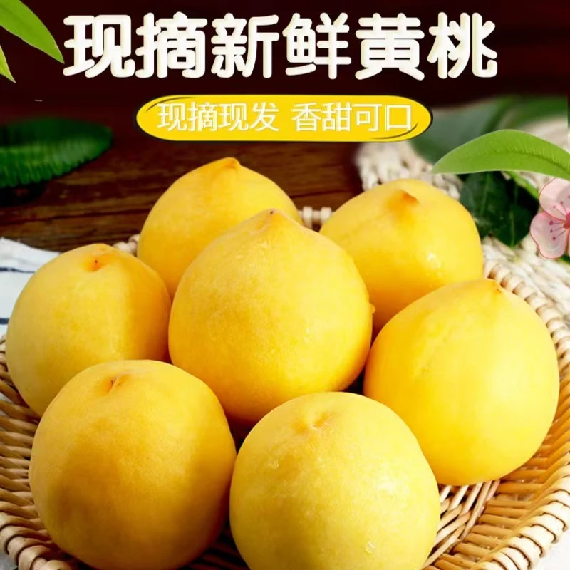 【湖北邮政助农补贴】枣阳正宗黄桃黄金蜜4号蜜桃现摘现发新鲜桃子B