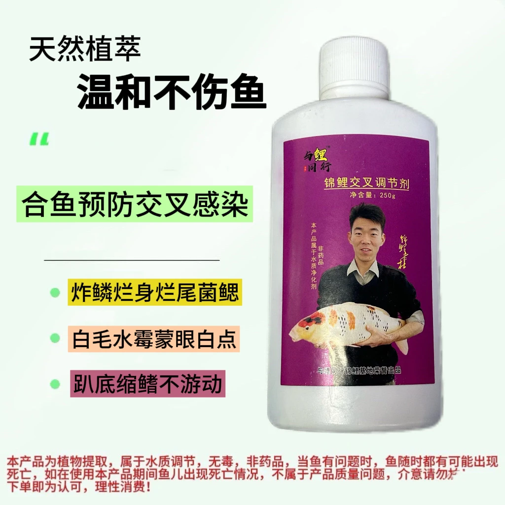 补贴【与鲤同行-锦鲤老杜】锦鲤老杜鱼池合鱼交叉调节剂趴烂鳃炸鳞