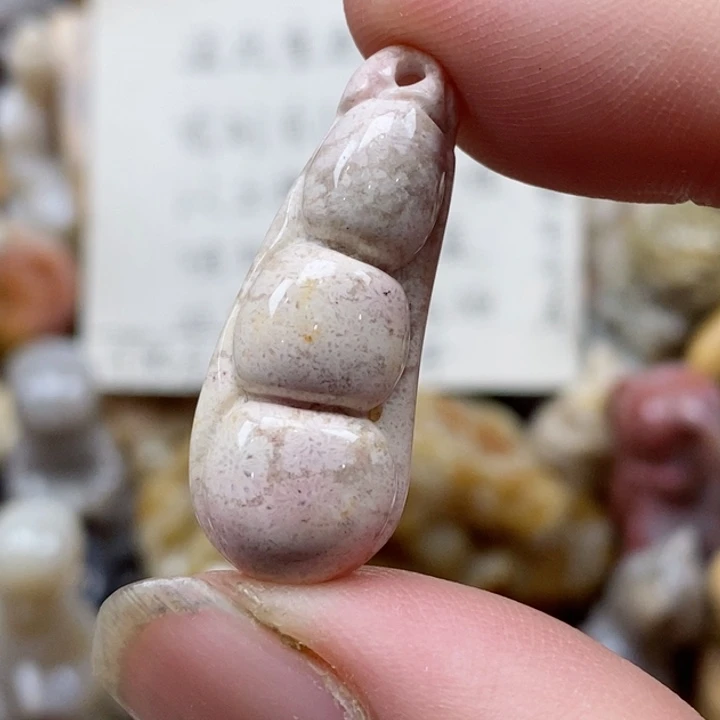 颈饰未镶嵌硅化珊瑚（珊瑚玉）小