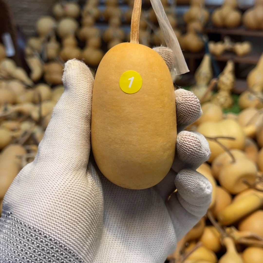 闪拍葫芦链接-1号品