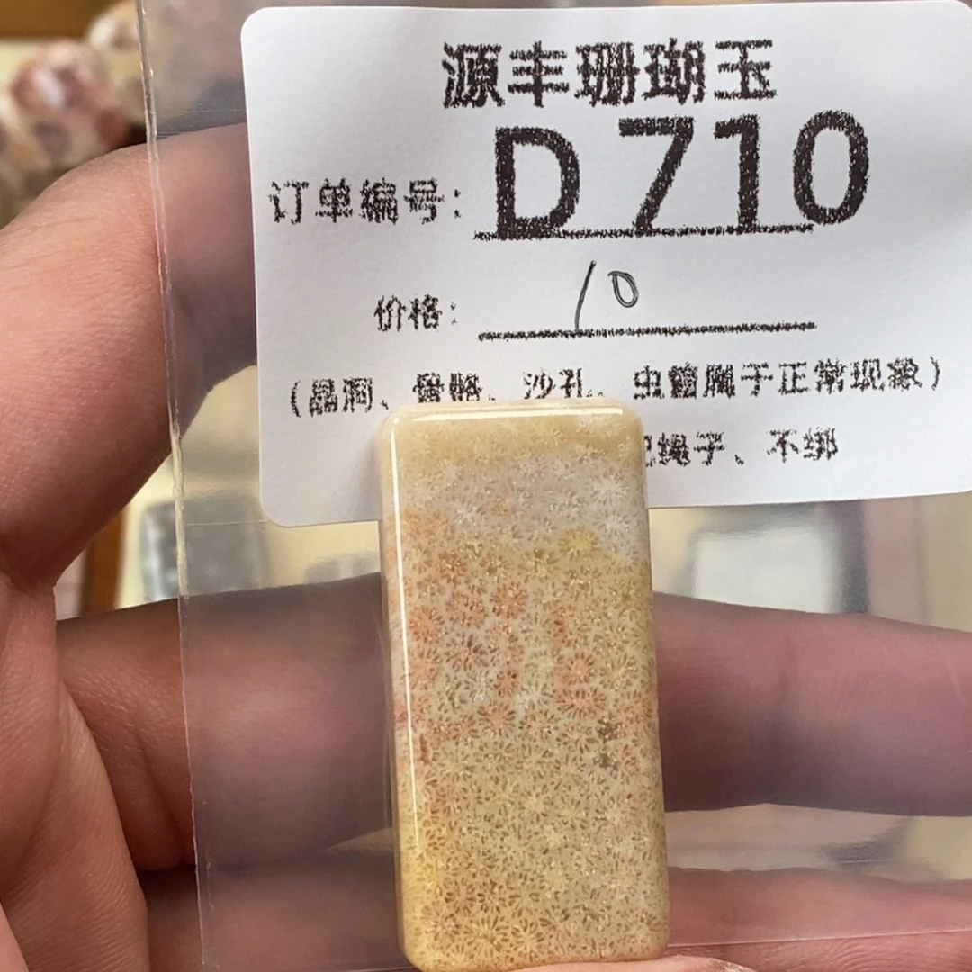 鹂***硅化玉未镶嵌颈饰