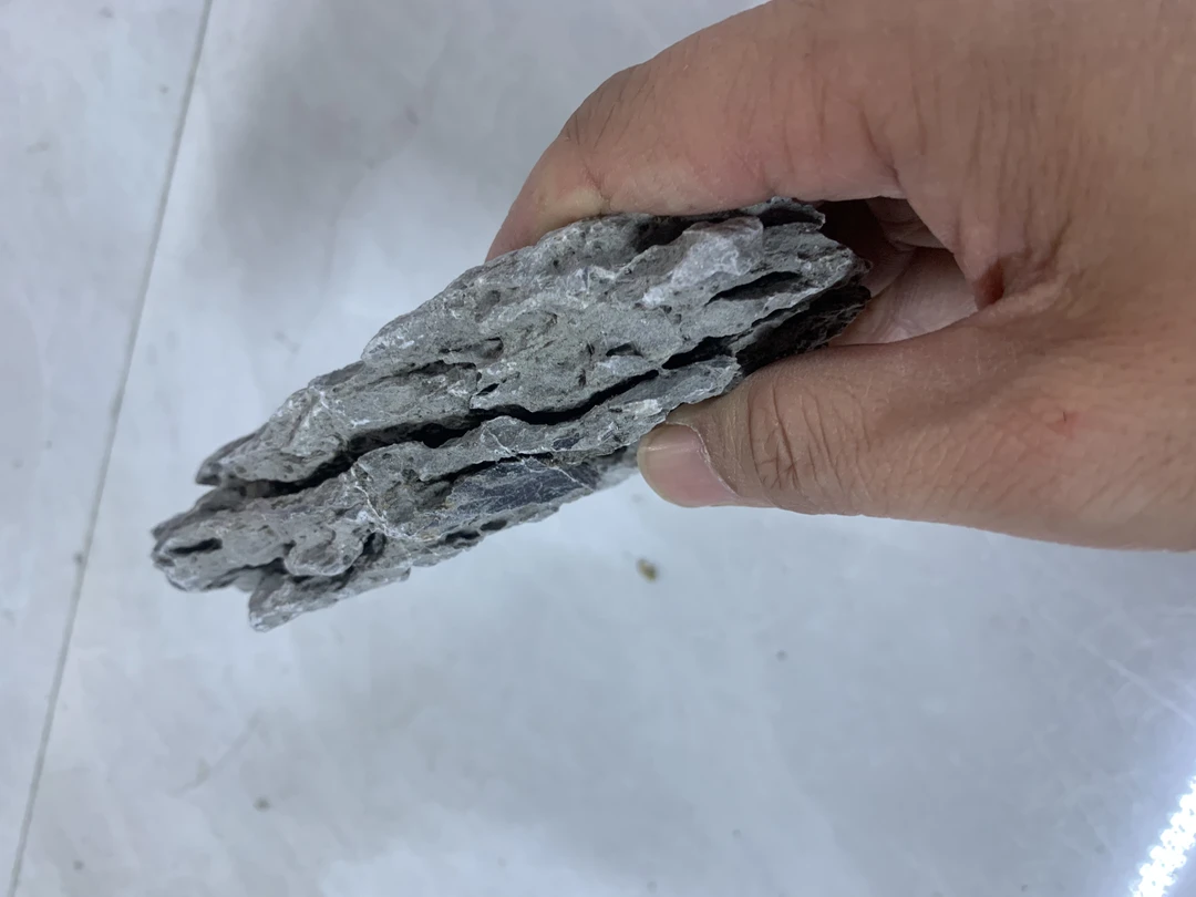 水陆缸造景青龙石