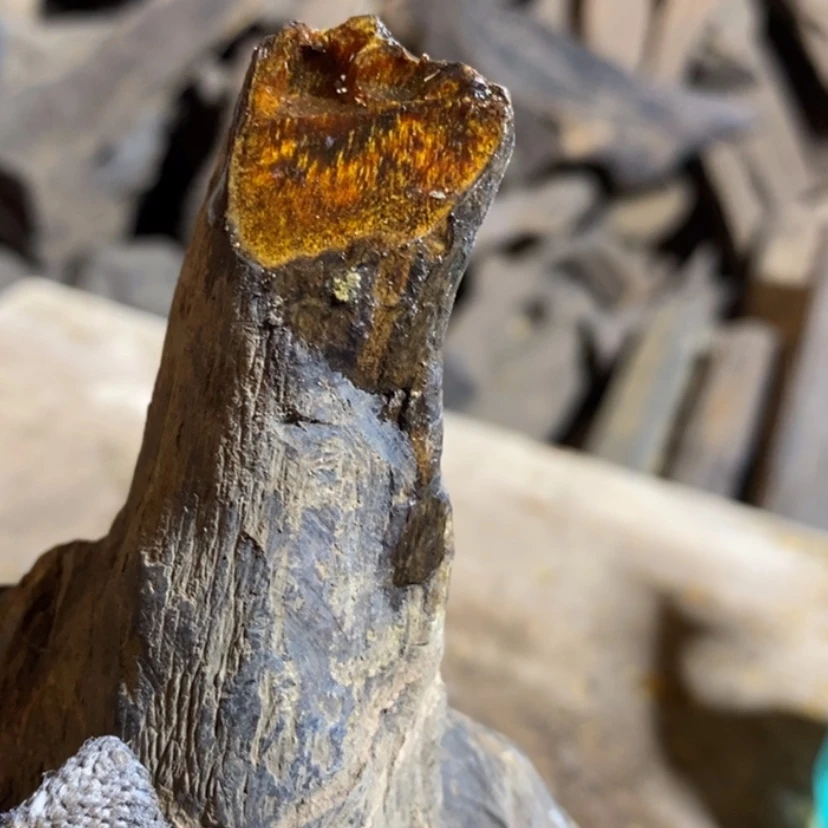 【闪购商品】手串贡木普**類私人订制