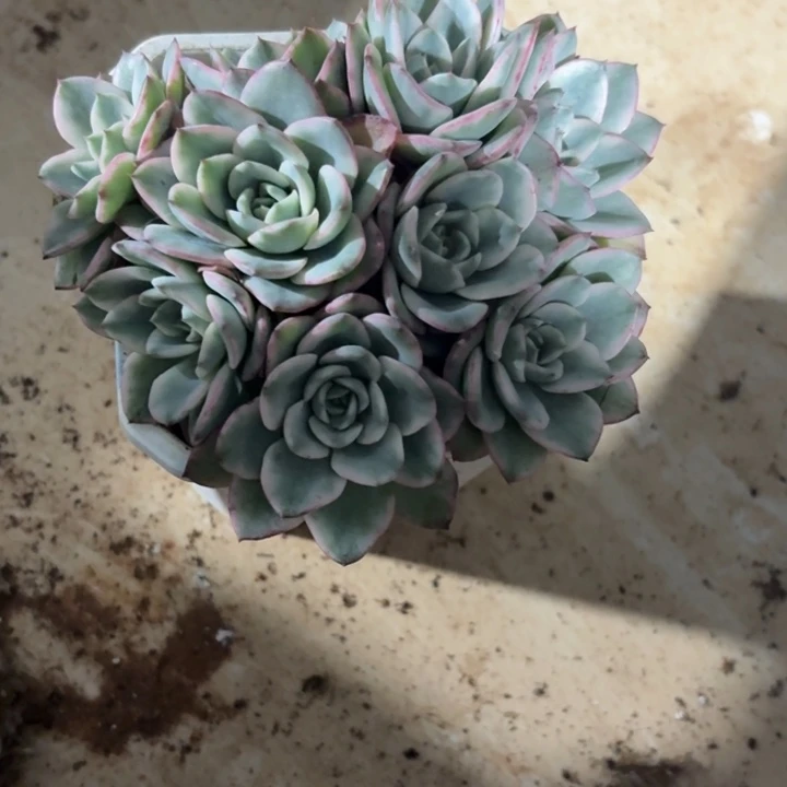 丢***我福袋福袋福袋福袋