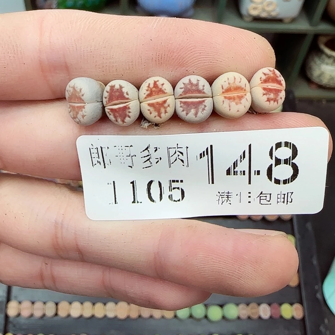 满满18包邮1105-148