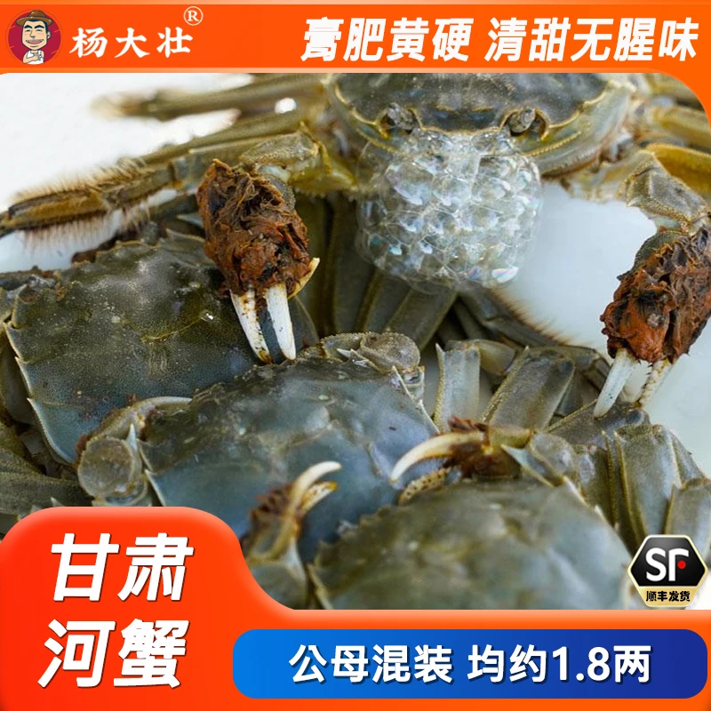 甘肃活蟹公母混装1.8-1.6两河蟹2/3斤装活蟹膏肥黄硬清甜无螃蟹