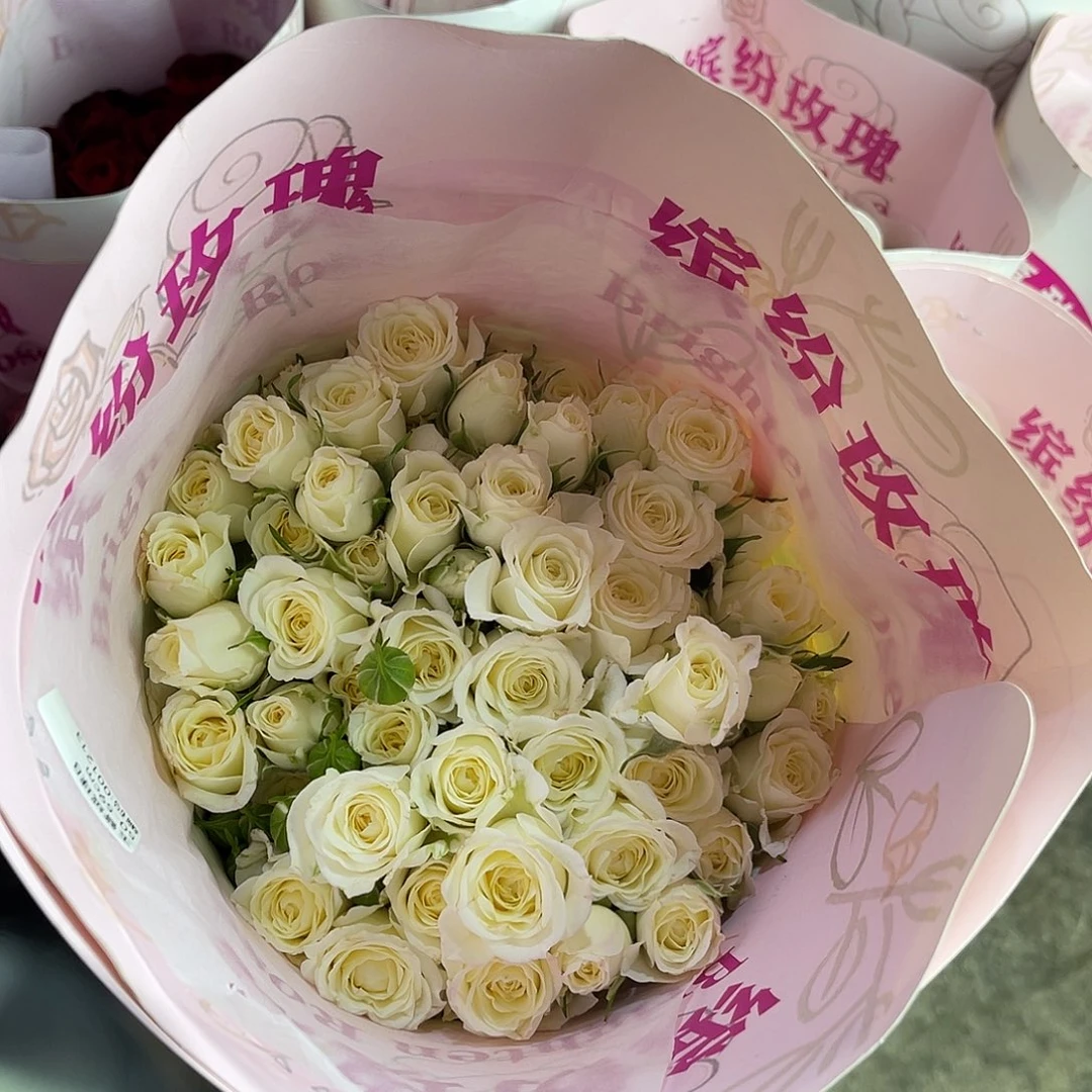 全部花苞缤纷（玉簪绒球）一扎