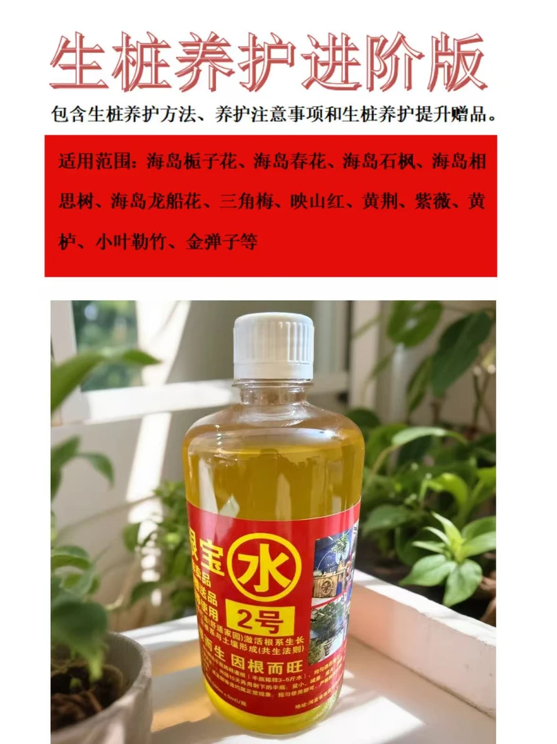 子夜花卉2号进阶版套餐/生根/爆根