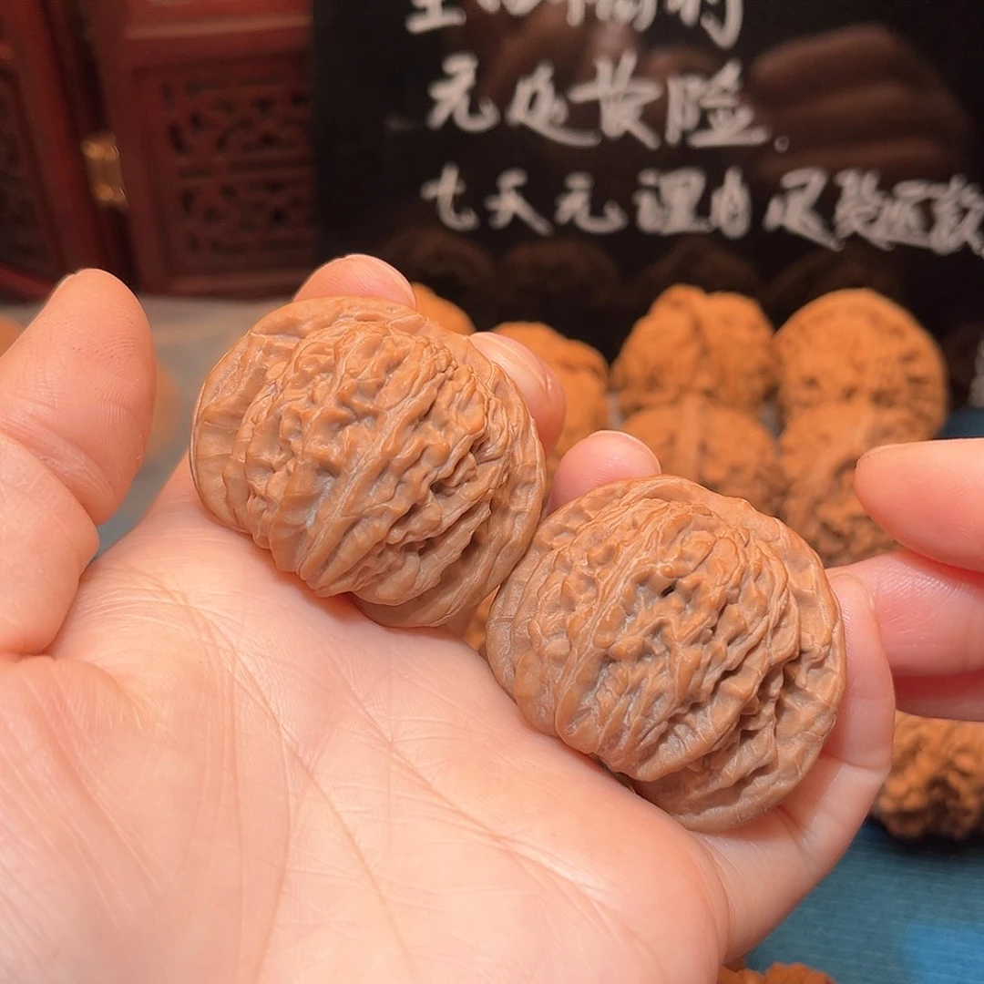 40全品四座楼……菊花底