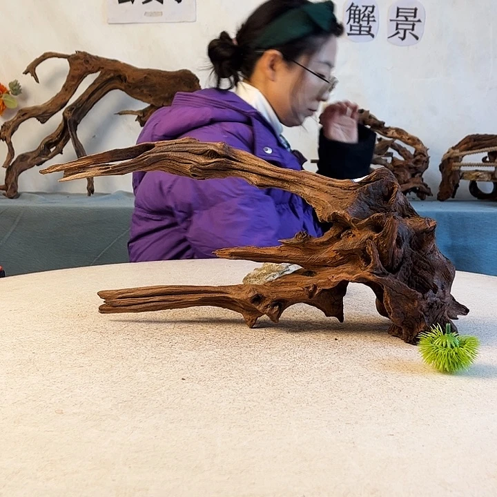 沉木造景新年快乐