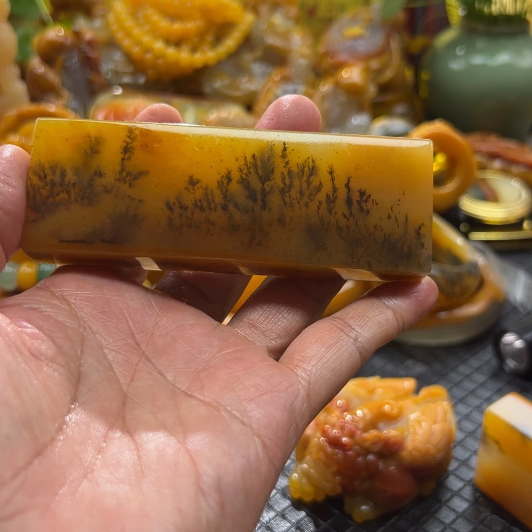 石英质玉未镶嵌颈饰