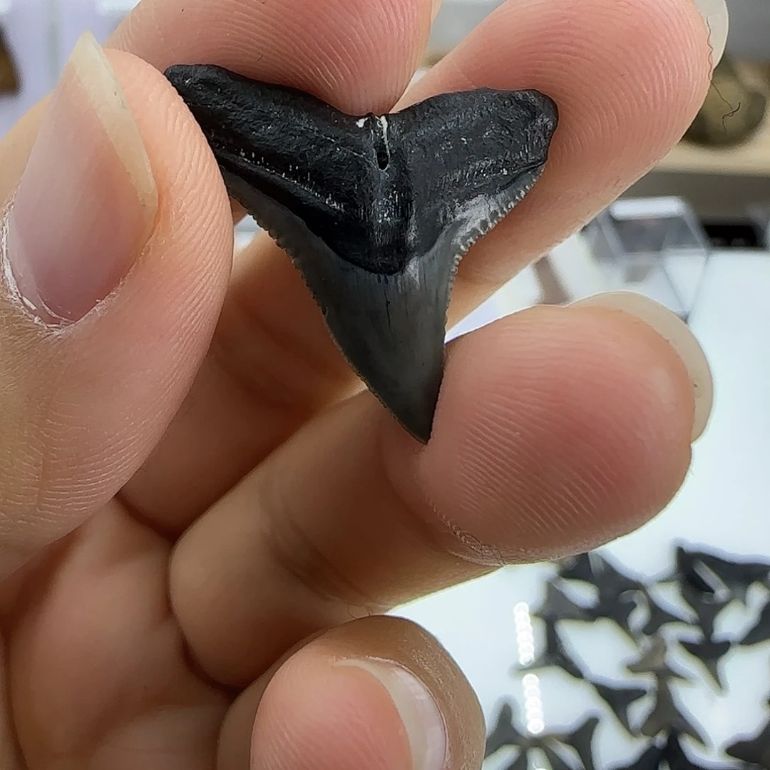 琉璃/树脂/塑料类