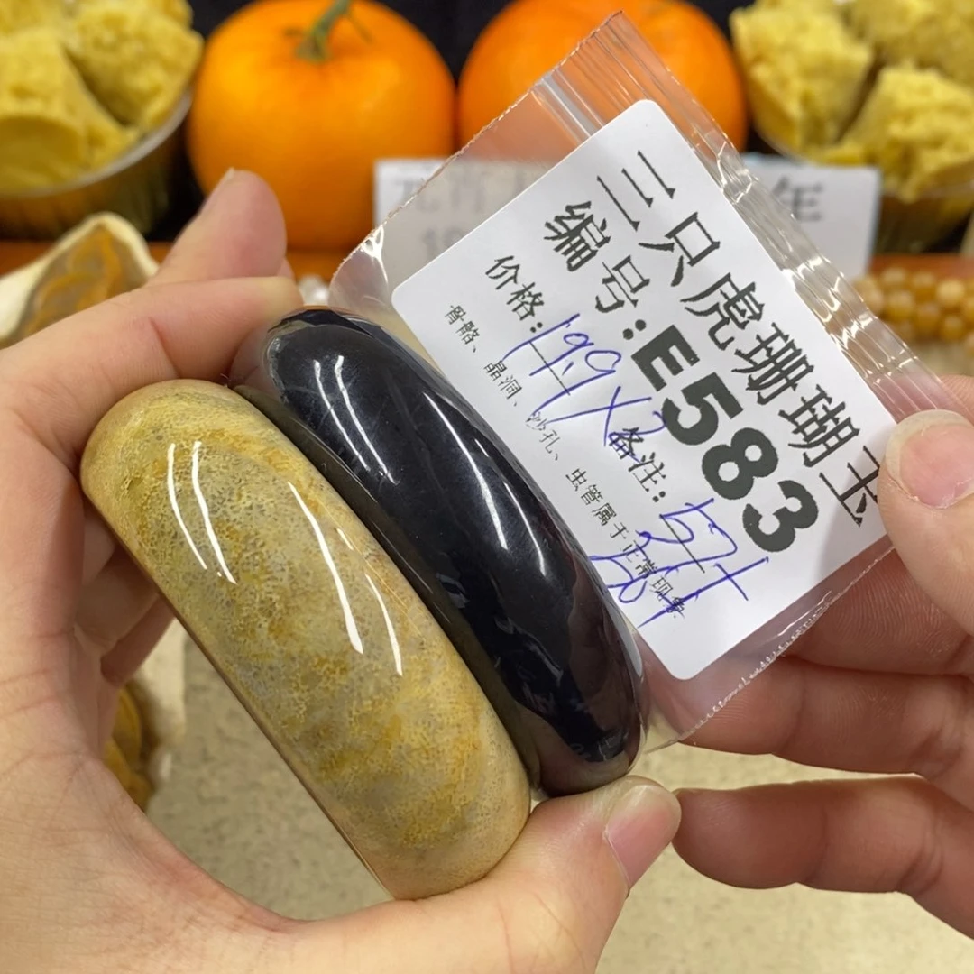 硅化珊瑚（珊瑚玉）1未镶嵌元*