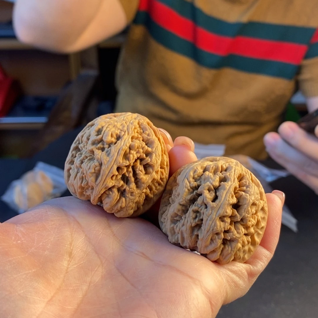 文玩核桃把件L***Y粗筋