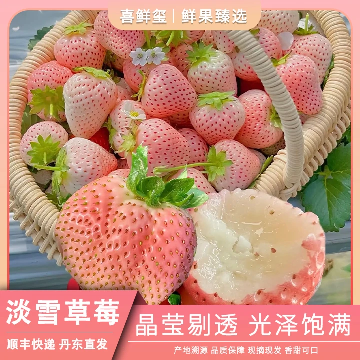 【奶油草莓】淡雪天使白草莓白雪公主奶油草莓现摘先发节日生日送礼