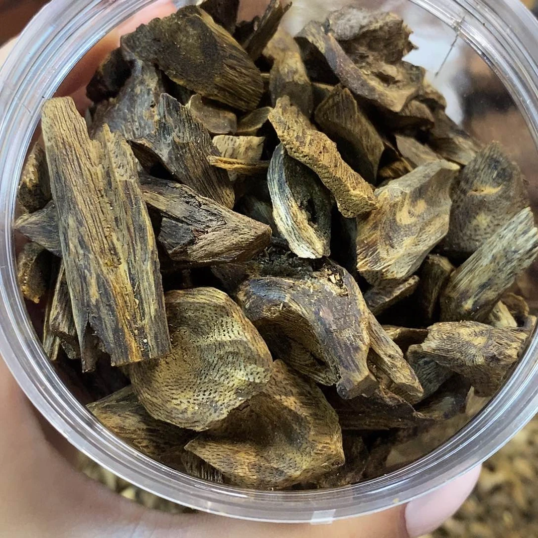 线香棋楠树钉壳子30g