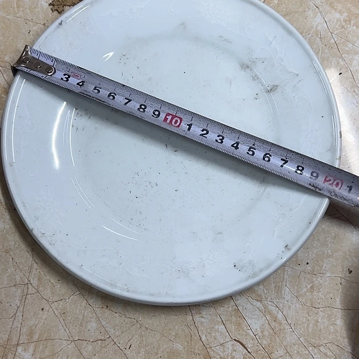 其他陶20.5厘米缠枝莲盘子