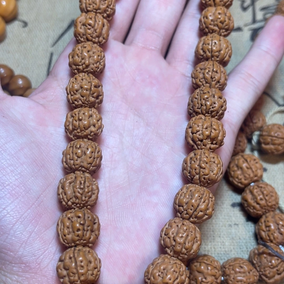 手串猴头核桃金刚