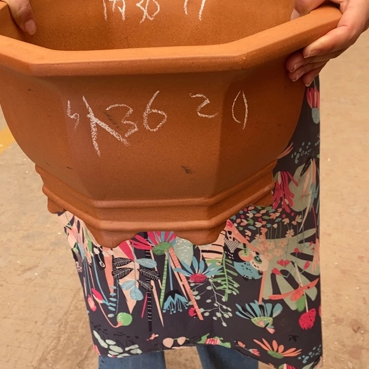 紫砂花盆自己家庭作业