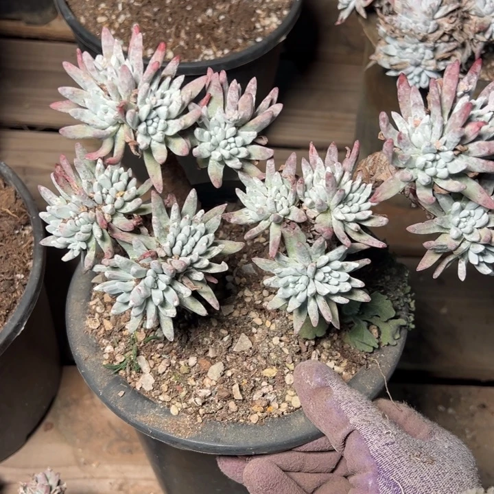 1624哈哈哈哈哈哈哈哈哈