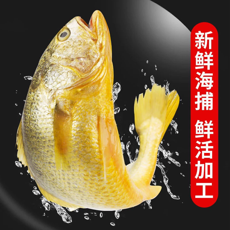 无冰大黄鱼新鲜冷冻大黄花鱼年货可整箱商用3+1条鲜活冰鲜大黄鱼