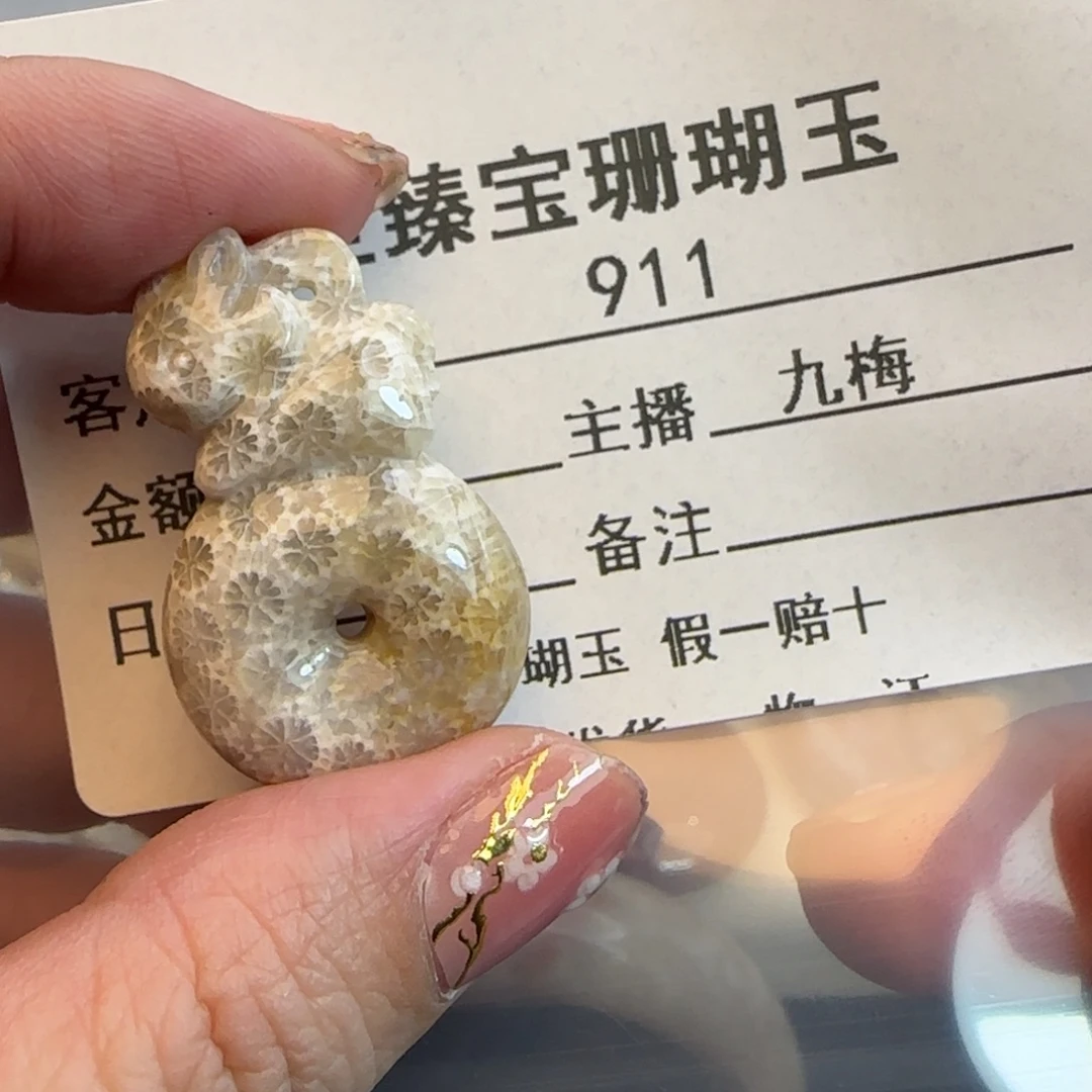 硅化珊瑚（珊瑚玉）未镶嵌颈饰