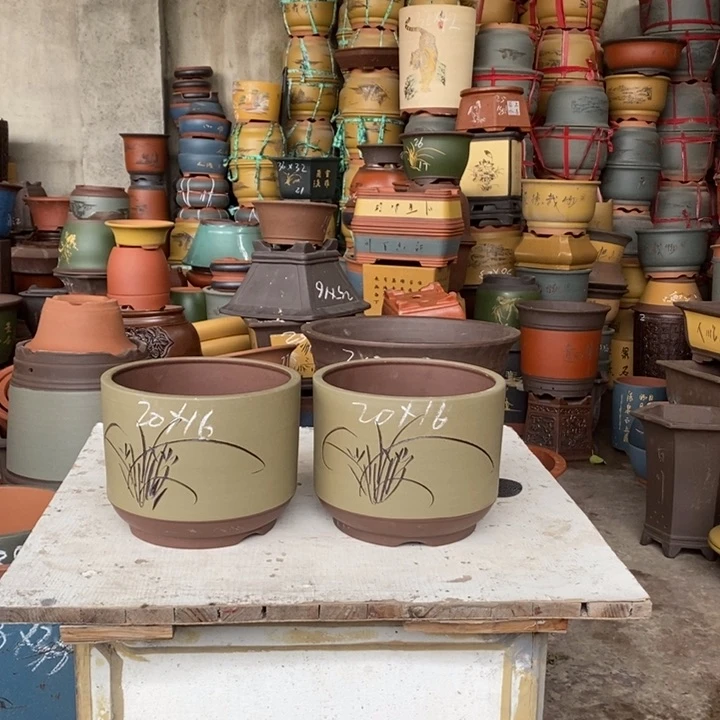 紫砂花盆紫砂花盆盆栽