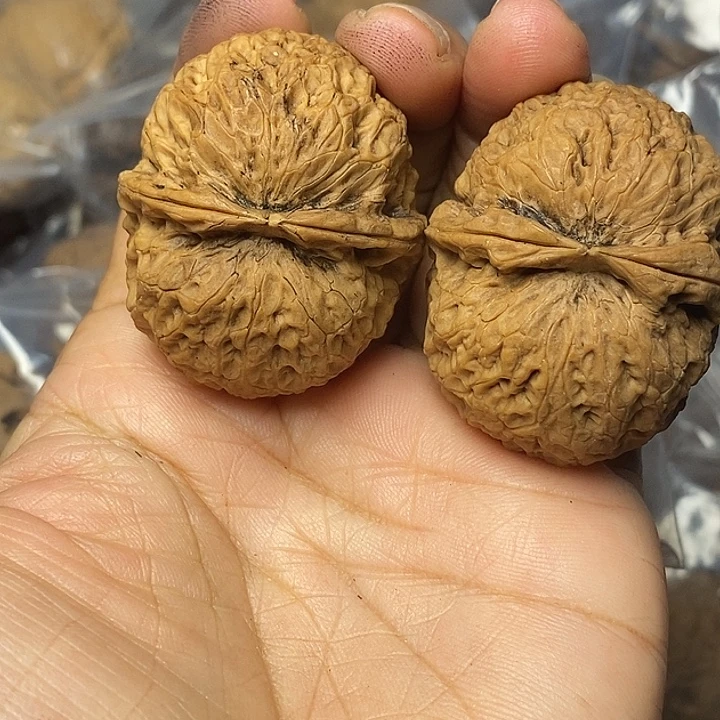 把件文玩核桃云南铁核桃73