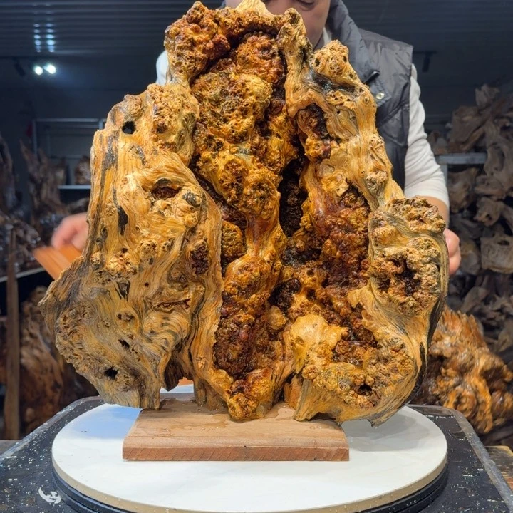 木?****?王一刀琥珀木55