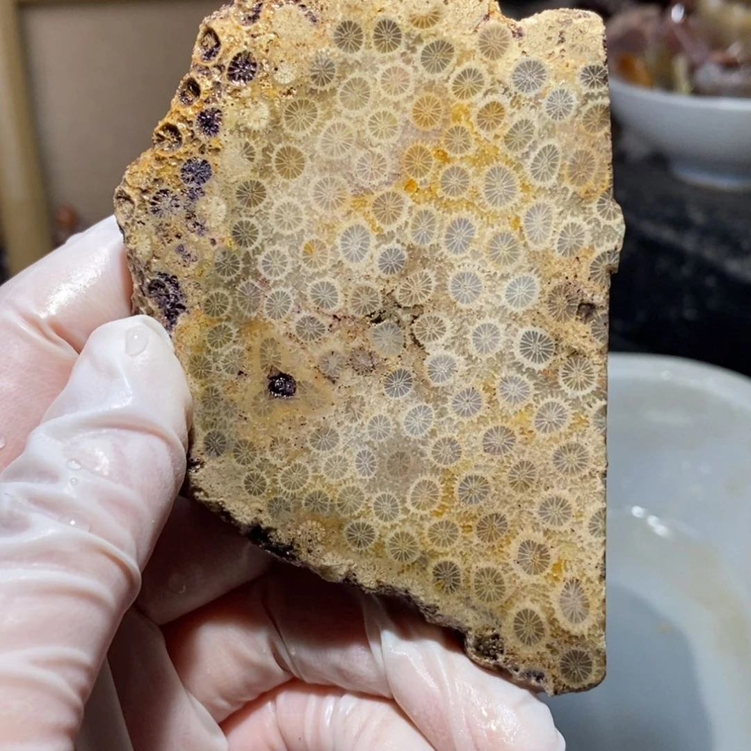 【闪购商品】硅化玉珊瑚玉未镶嵌