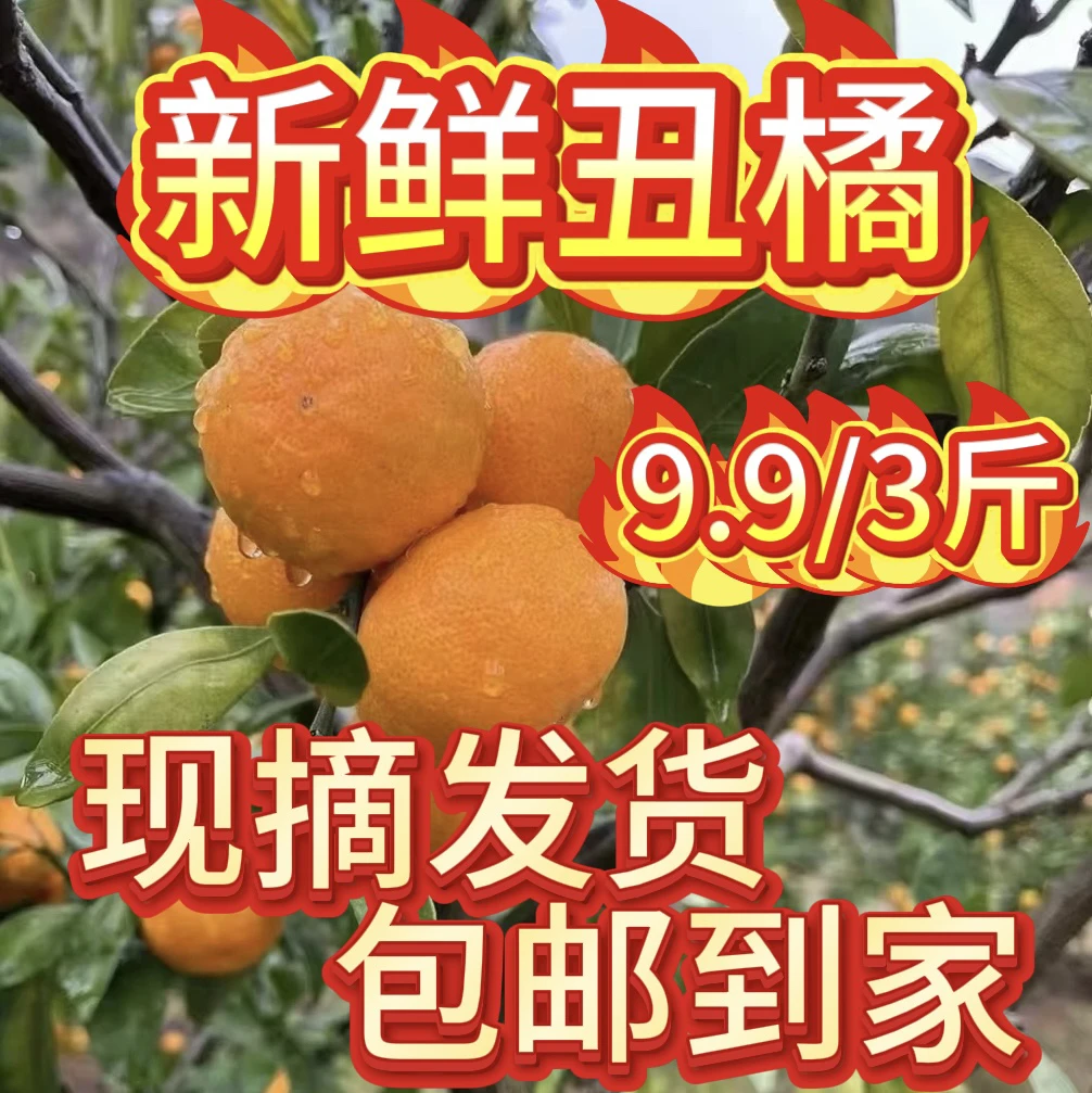 正宗湖南果园现摘沙糖桔蜜桔当季新鲜清香水果丑橘桔子橘子清香橘