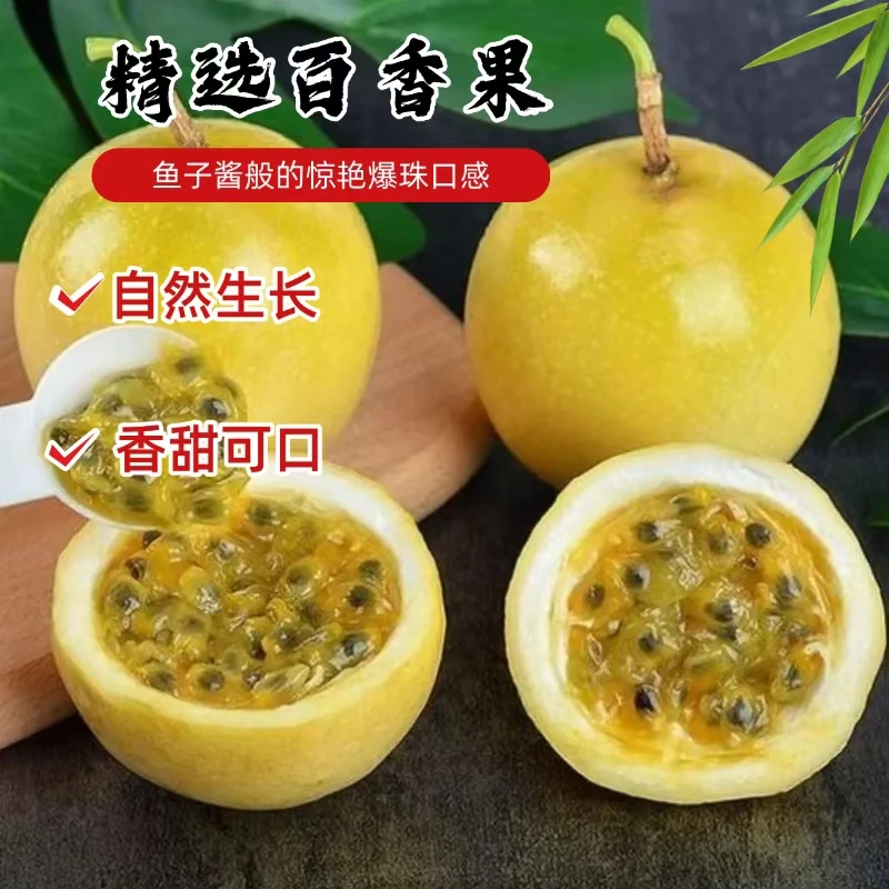 【江浙沪次日达】钦蜜9号黄金百香果净重2斤酸甜可口果香浓郁（12）