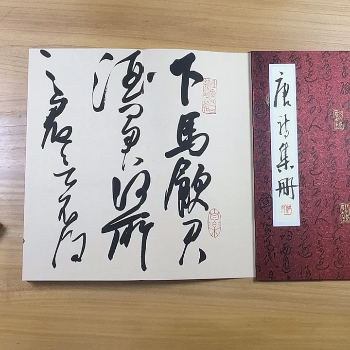 书法中书协老师作品